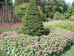 161 Longwood Gardens [2008 August 23]